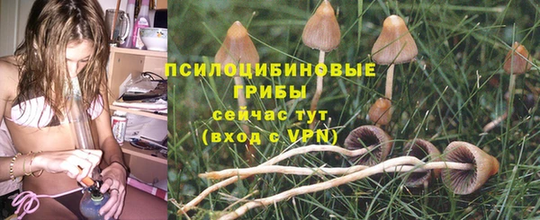 мет Абинск