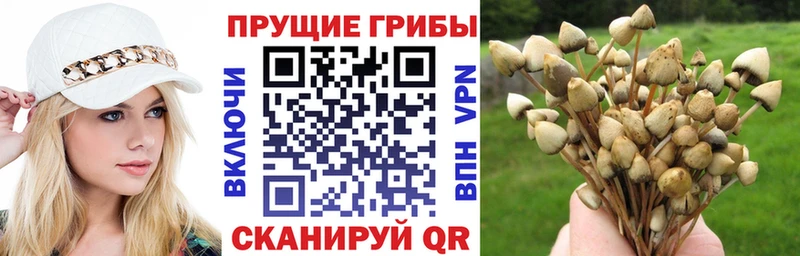 Галлюциногенные грибы прущие грибы Орёл